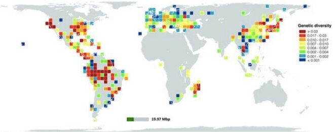 Carte de la diversité génétique des amphibiens. © Science