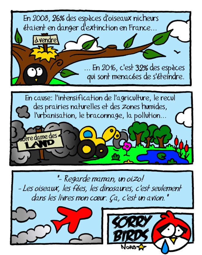 Oiseaux nicheurs de France: Sorry Birds...