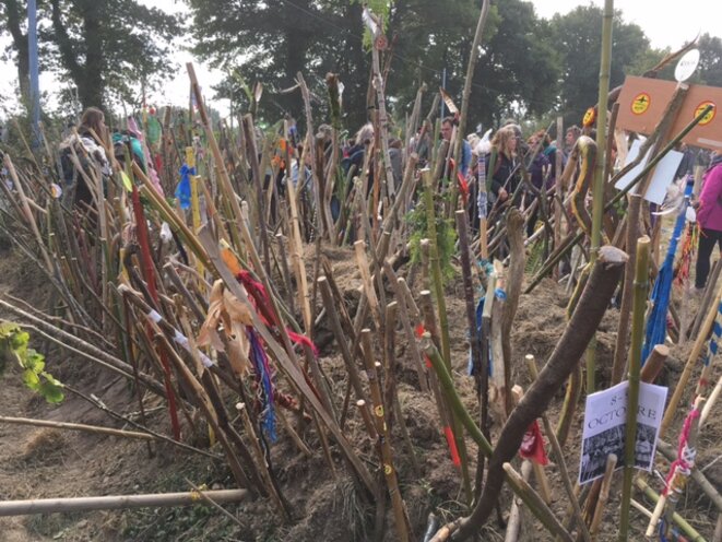 La forêt de bâtons plantés à Notre-Dame-des-Landes le 8 octobre par des opposants (JL)