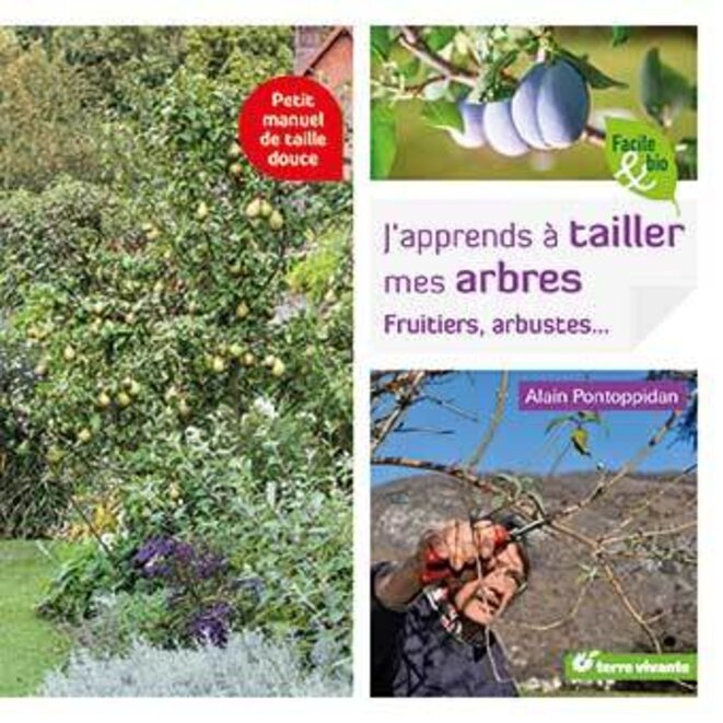 De La Taille à La Conduite Des Arbres Fruitiers Pdf