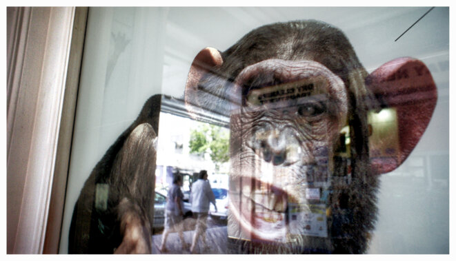 LA CHOCOLATINE  DE  LA  RÉPUBLIQUE