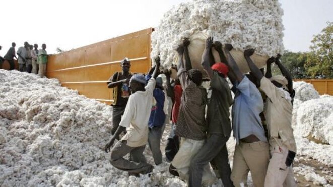 cotonafrica-0