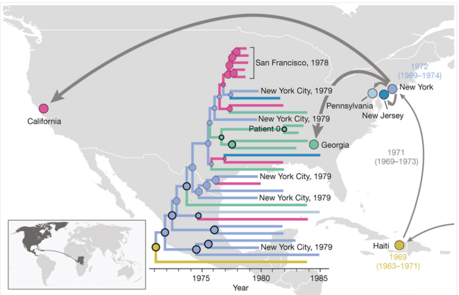 Le parcours du virus du sida d'Afrique en Amérique du nord, reconstitué par l'équipe de Worobey © Nature Le parcours du virus du sida d'Afrique en Amérique du nord, reconstitué par l'équipe de Worobey © Nature