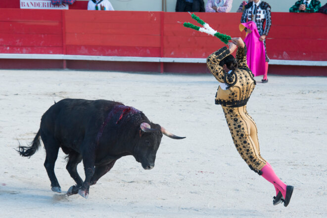 Corrida à Alès, 2013 Corrida à Alès, 2013