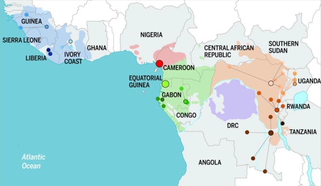 Distribution géographique des populations de chimpanzés © Science Distribution géographique des populations de chimpanzés © Science