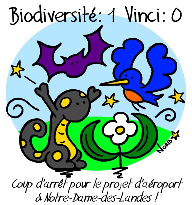Notre-Dame-des-Landes: score surprise à la mi-temps!