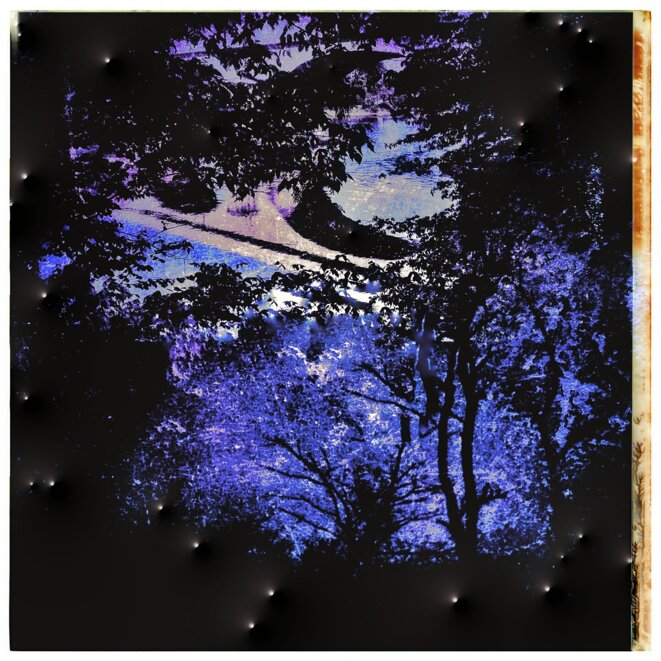 sous la nuit étoilée © PAJ sous la nuit étoilée © PAJ
