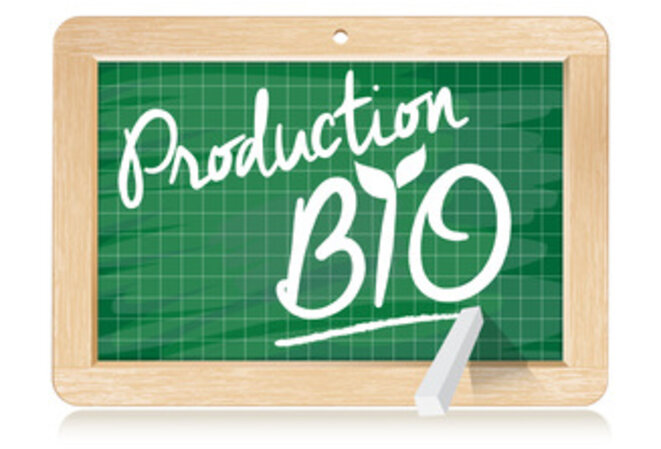 production-bio-1