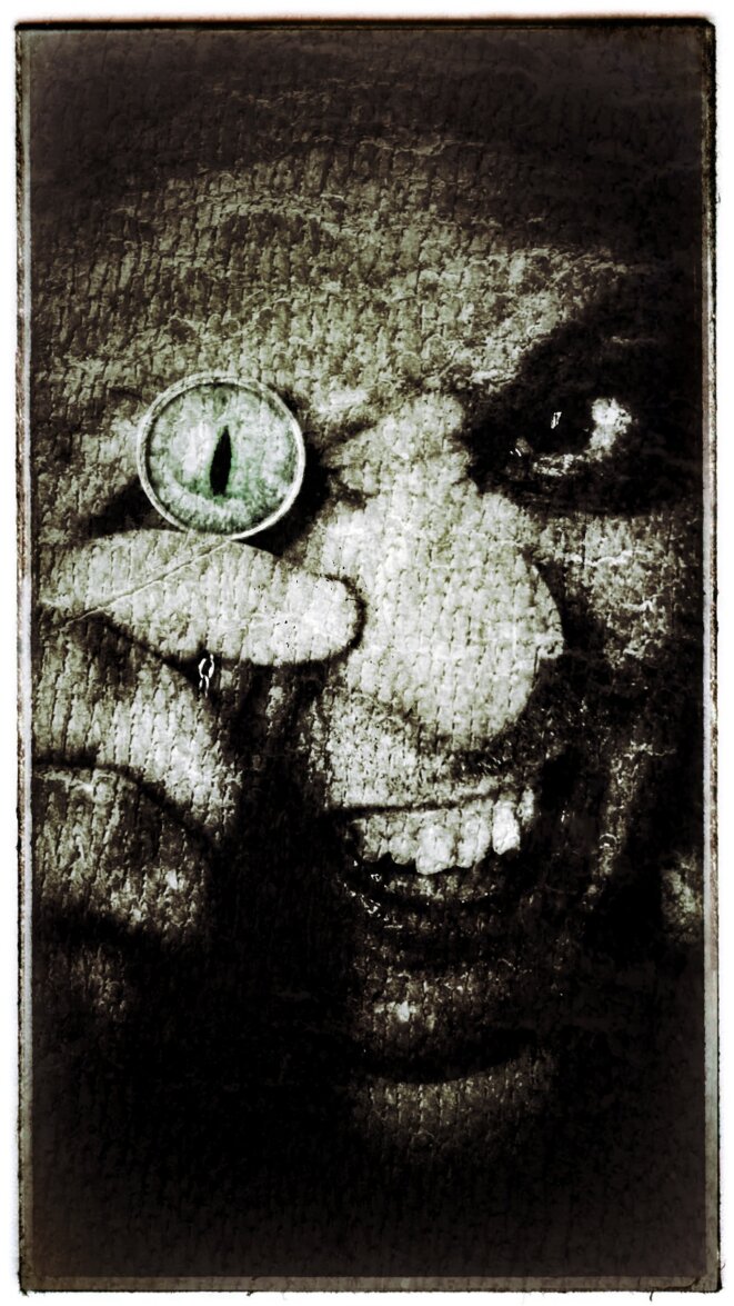 DU FION, DU FION, DU BONNET