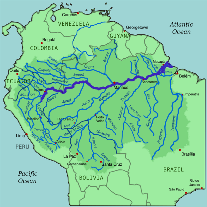 amazonie