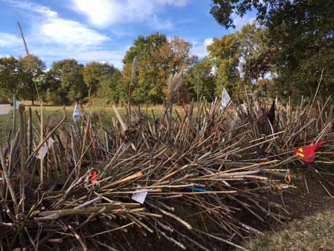 Des milliers de bâtons d'opposants à l'aéroport sont toujours plantés sur la ZAD, 7 novembre 2016 (JL). Des milliers de bâtons d'opposants à l'aéroport sont toujours plantés sur la ZAD, 7 novembre 2016 (JL).