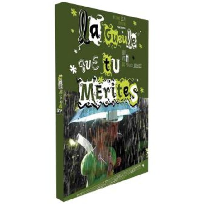 dvdla-gueule-que-tu-merites