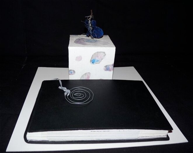 Un max de Minis et des insectes itou