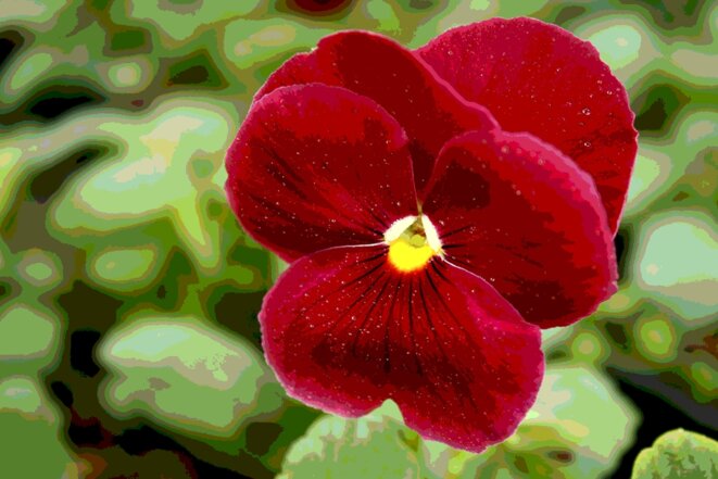 Nouvelle loi pour des funérailles républicaines.