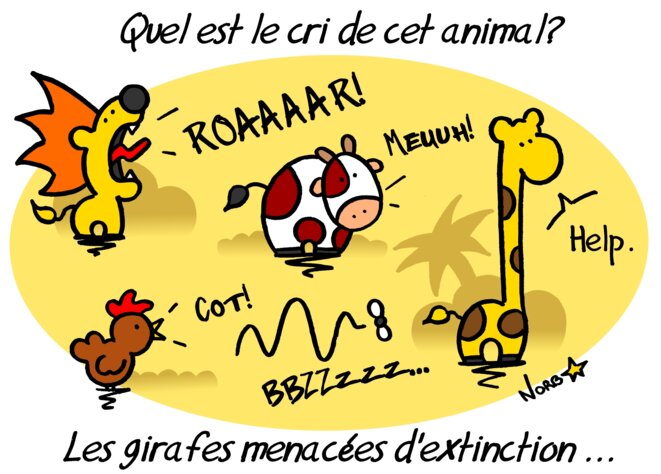 Les girafes menacées d'extinction