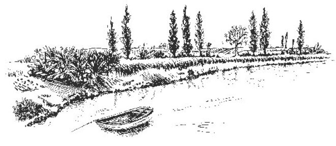 63072808