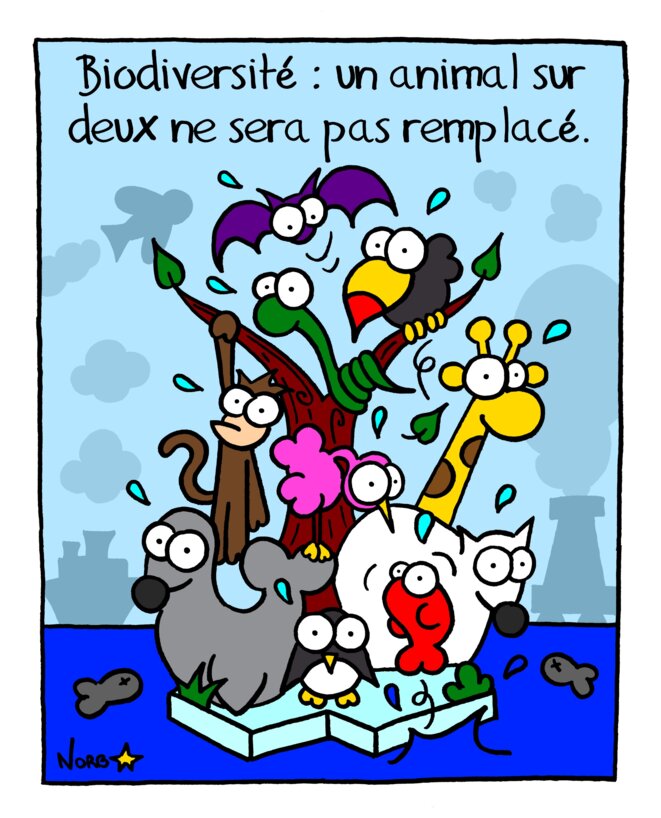 Sixième extinction: le grand dégraissage