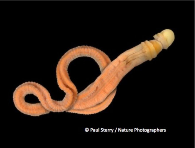 4584b9f8-1bb5-40d3-b45a-e6193685ae85