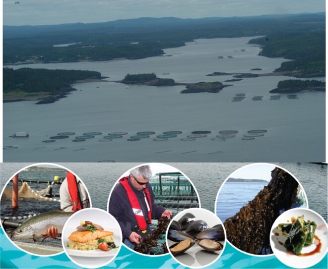 6624f05f-4c36-4f59-965d-b87df61ac8bf