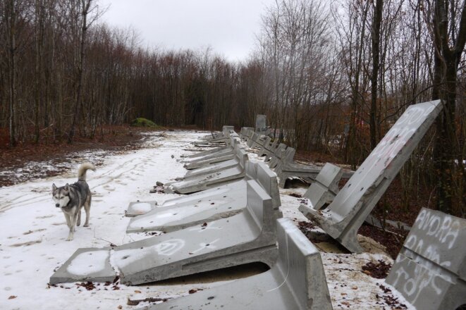 Dans le bois Lejuc, les restes du mur bâti par l'Andra et abattu par les opposants, 10 janvier 2017 (JL)