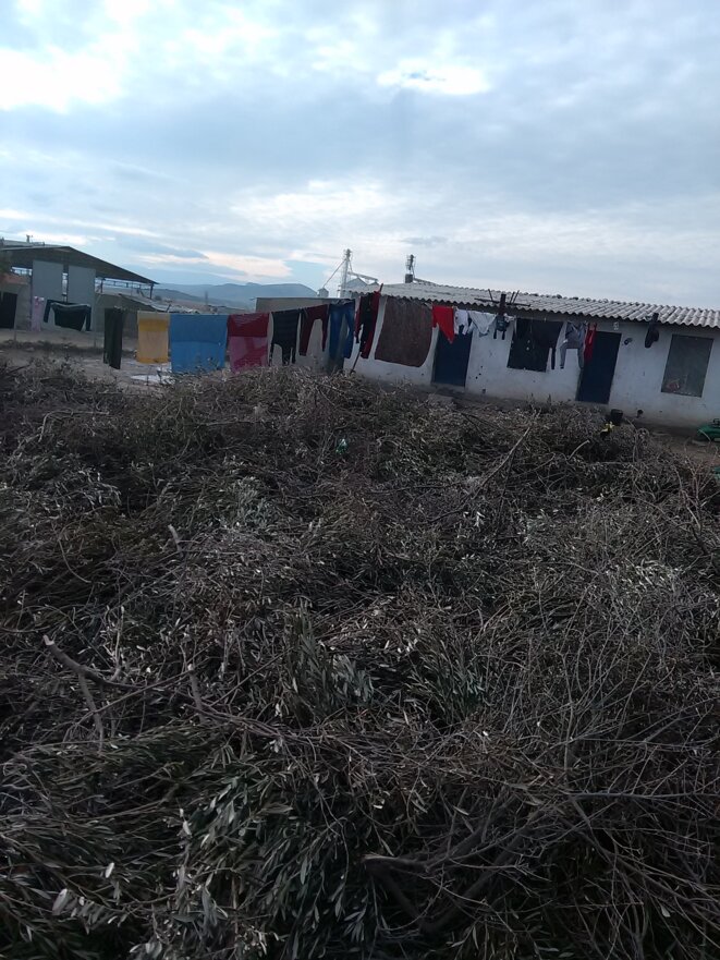 Le type de maisons où vivent les réfugiés dans la campagne turque Le type de maisons où vivent les réfugiés dans la campagne turque