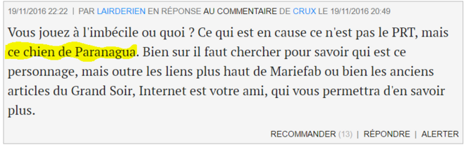 capture-lairderien-paranagua-chien