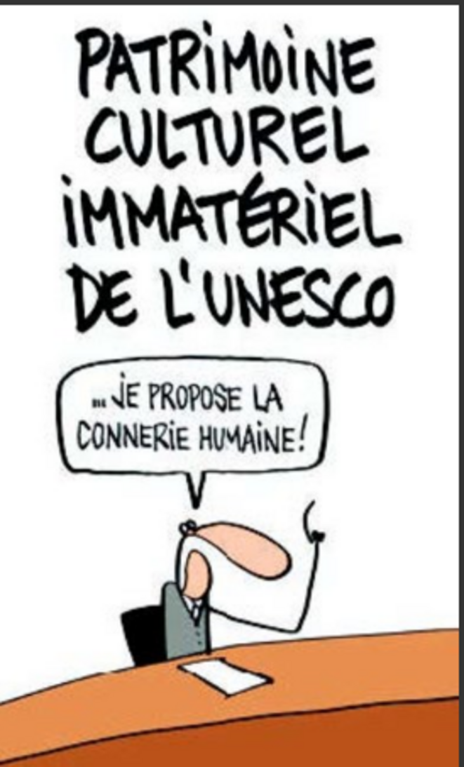 capture-mix-connerie-humaine-patrimoine-humanite