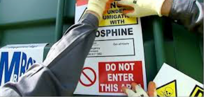 Brest: le maïs empoisonné à la phosphine est une bombe à retardement