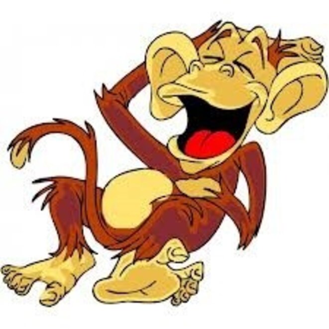 singe-qui-rit