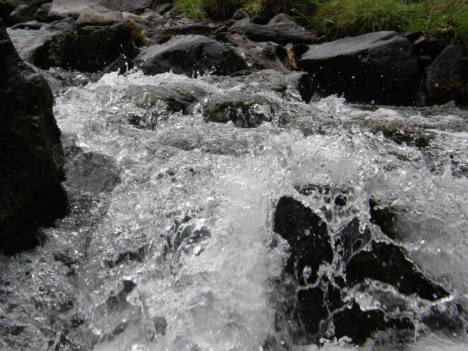 p8120401