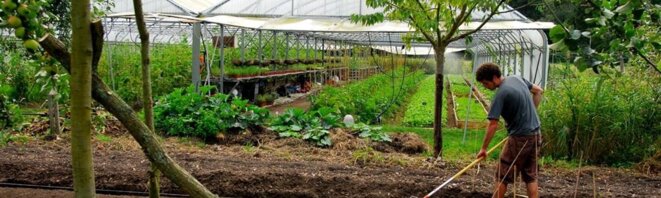 FOCUS. La Ferme du Bec Hellouin, pionnière de la permaculture en France