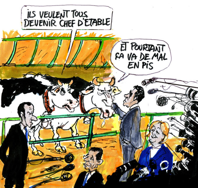 LA POLITIQUE AU CUL DES VACHES