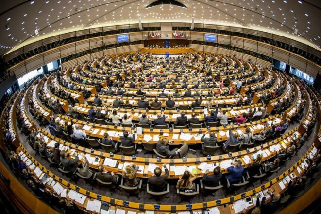 The European Parliament (EP)