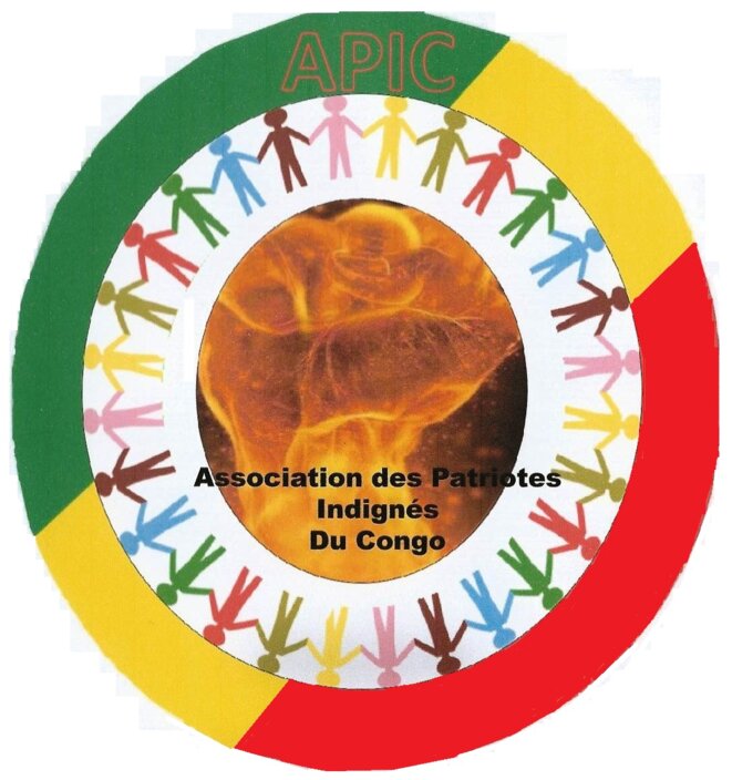 img-logo-apic0001
