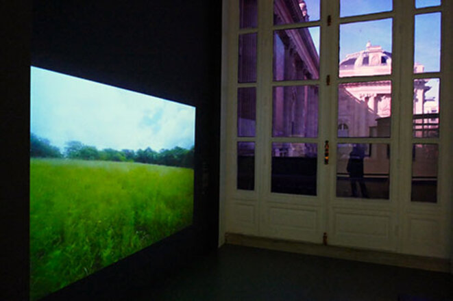 Jardins au Grand Palais