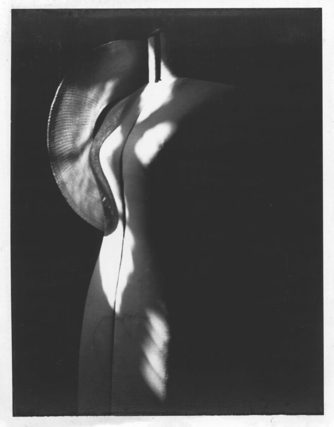Venus © Nicolas Testas Venus © Nicolas Testas