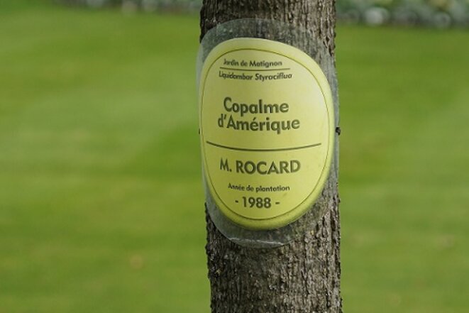 freddy-mulongo-cazeneuve-magnolia-17