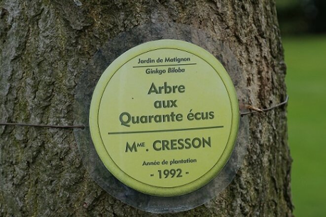 freddy-mulongo-cazeneuve-magnolia-18