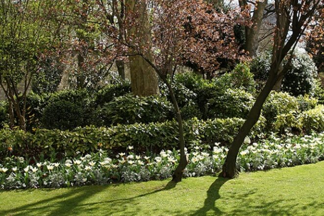 freddy-mulongo-cazeneuve-magnolia-6