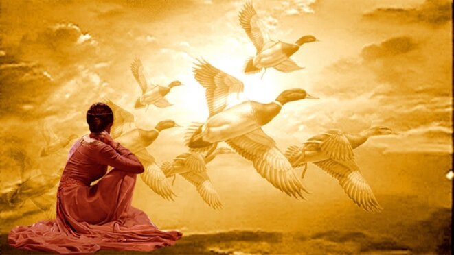 Le bon sens interdit