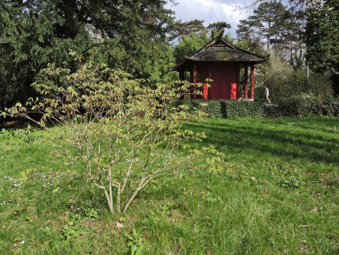 Jardin d'agronomie tropicale, Paris, 1 avril 2017 © Gilles Walusinski Jardin d'agronomie tropicale, Paris, 1 avril 2017 © Gilles Walusinski