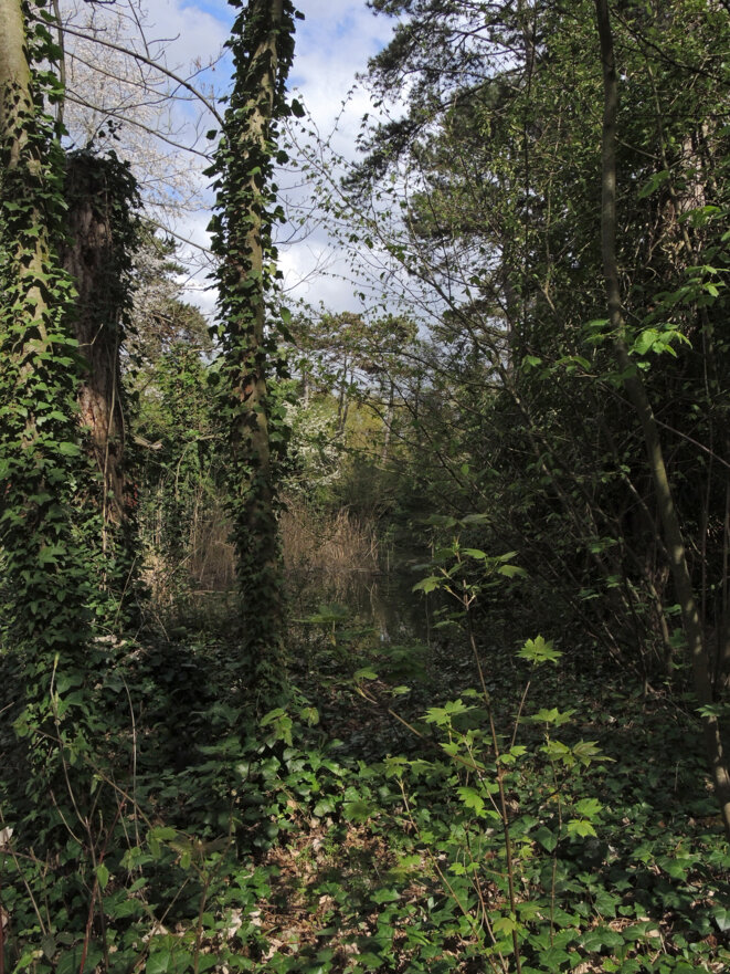 Jardin d'agronomie tropicale, Paris, 1 avril 2017 © Gilles Walusinski Jardin d'agronomie tropicale, Paris, 1 avril 2017 © Gilles Walusinski