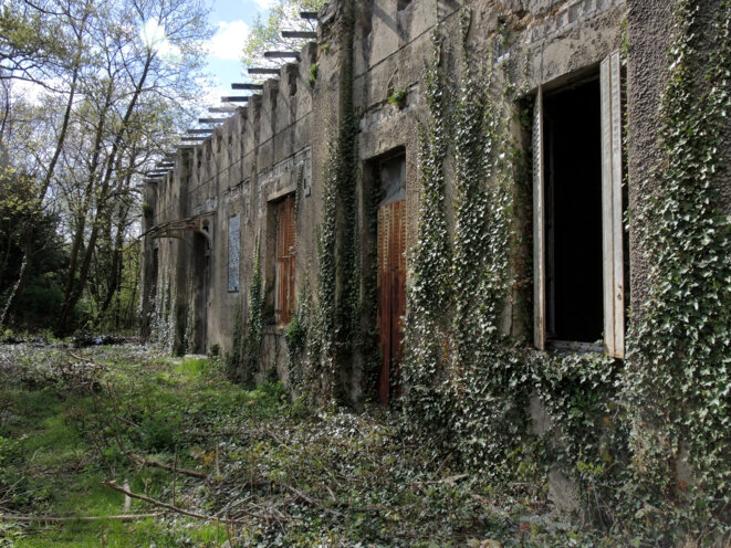 Jardin d'agronomie tropicale, Paris, 1 avril 2017 © Gilles Walusinski Jardin d'agronomie tropicale, Paris, 1 avril 2017 © Gilles Walusinski
