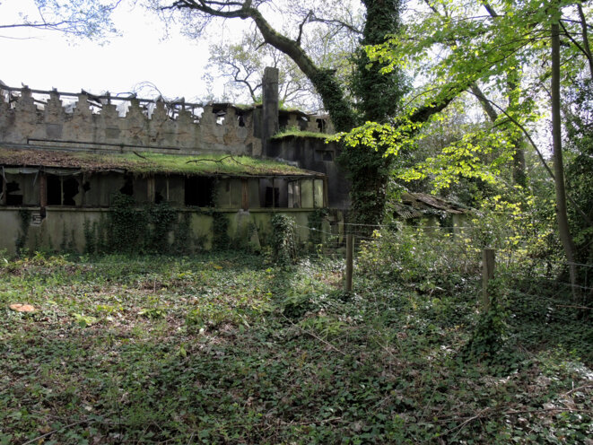 Jardin d'agronomie tropicale, Paris, 1 avril 2017 © Gilles Walusinski Jardin d'agronomie tropicale, Paris, 1 avril 2017 © Gilles Walusinski