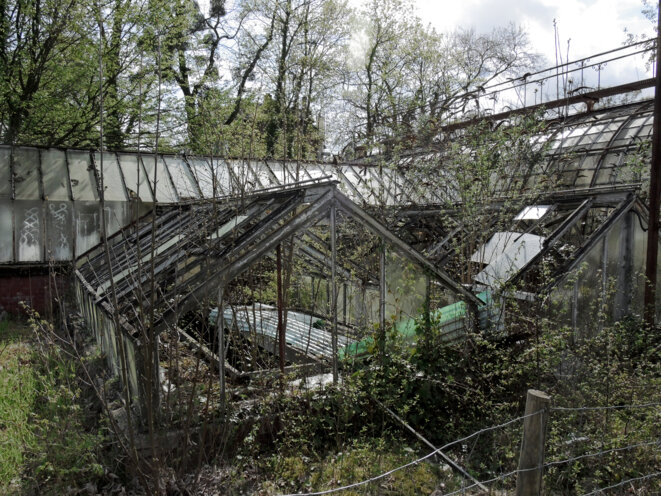 Jardin d'agronomie tropicale, Paris, 1 avril 2017 © Gilles Walusinski Jardin d'agronomie tropicale, Paris, 1 avril 2017 © Gilles Walusinski