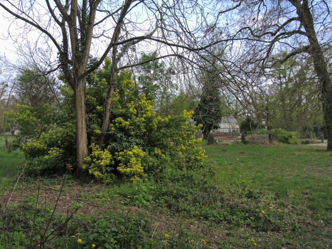 Jardin d'agronomie tropicale, Paris, 1 avril 2017 © Gilles Walusinski Jardin d'agronomie tropicale, Paris, 1 avril 2017 © Gilles Walusinski
