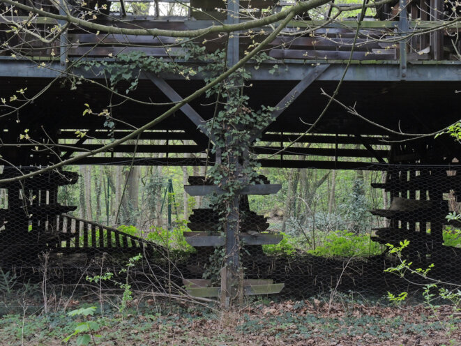 Jardin d'agronomie tropicale, Paris, 1 avril 2017 © Gilles Walusinski Jardin d'agronomie tropicale, Paris, 1 avril 2017 © Gilles Walusinski