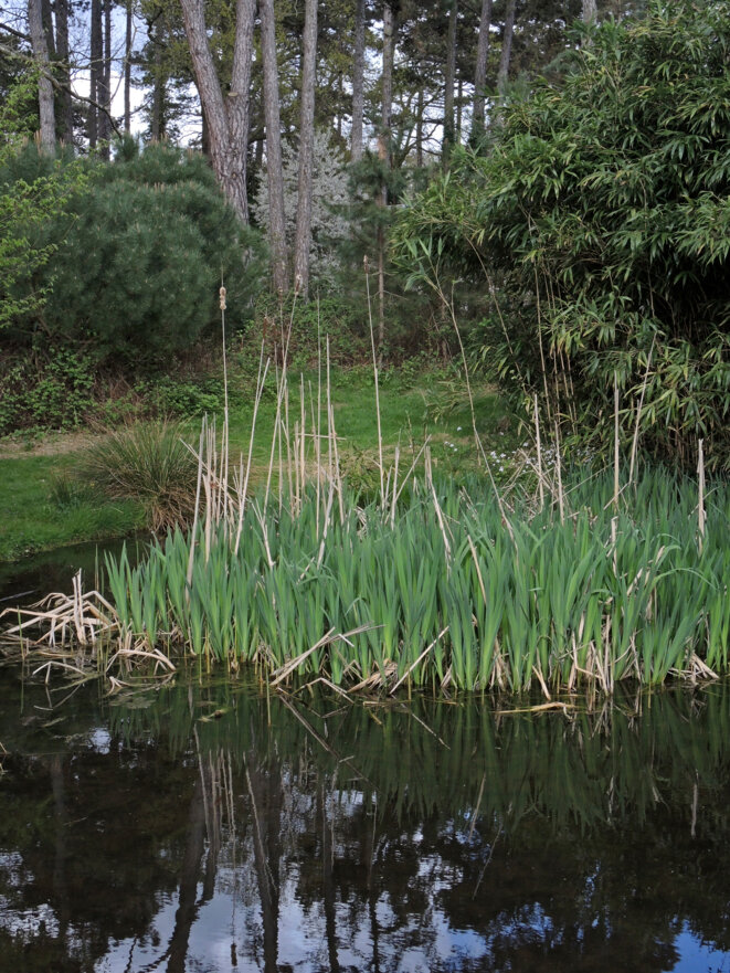 Jardin d'agronomie tropicale, Paris, 1 avril 2017 © Gilles Walusinski Jardin d'agronomie tropicale, Paris, 1 avril 2017 © Gilles Walusinski