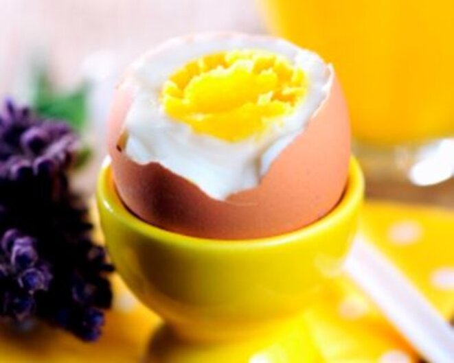 Peut On Manger Un Oeuf Couvé