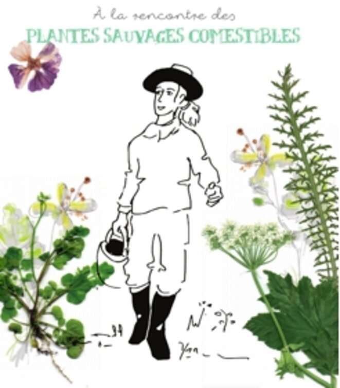 A la rencontre des plantes sauvages comestibles